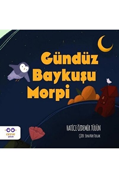 Cezve Çocuk Gündüz Baykuşu Morpi  Hatice Özdemir Tülün