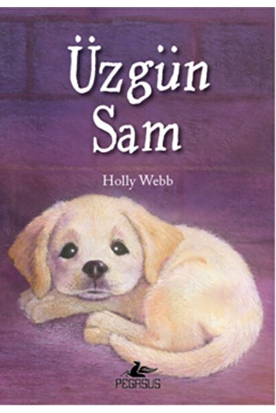 Pegasus Yayınları Üzgün Sam - Holly Webb