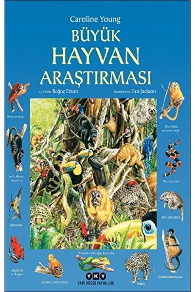 Yapı Kredi Yayınları Büyük Hayvan Araştırması Caroline Young