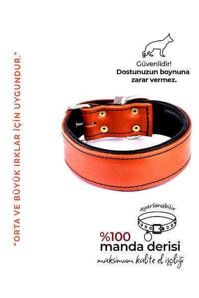 MgTasma Mg Collar Handcrafted, Genuine Leather Dog Collar, Collar Collar