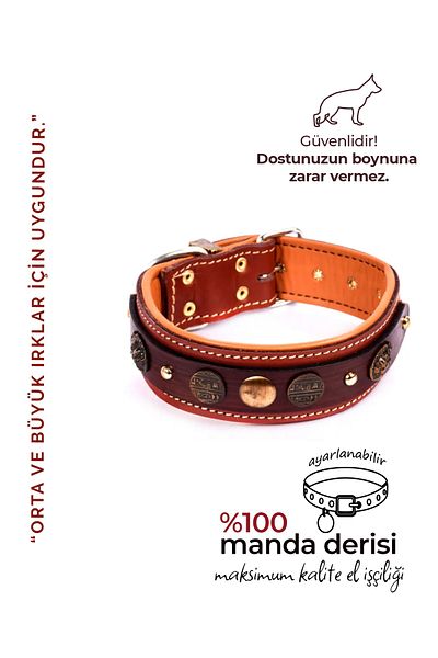 MgTasma Mg Collar Handcrafted, Special Design, Genuine Leather, Sumer Dog Collar, Collar Collar