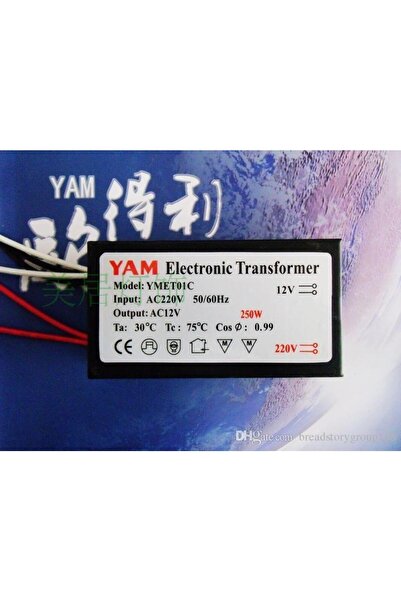 OKYANUSAYD 12 Volt 250 Watt Avize Trafosu Halojen Elektronik Transformatör 220 Volt