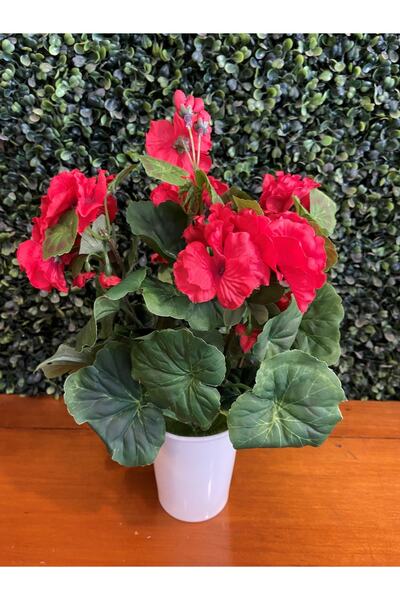 ASÇ YAPAY ÇİÇEK Porselen Saksıda Sardunya Kırmızı