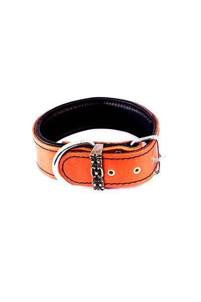 MgTasma Mg Collar Handcrafted, Genuine Leather Dog Collar, Collar Collar