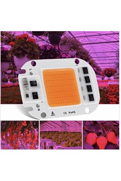 Hazar Led 220v 50w Grow Led Full Spectrum Cob Led (BİTKİ YETİŞTİRME LEDİ)