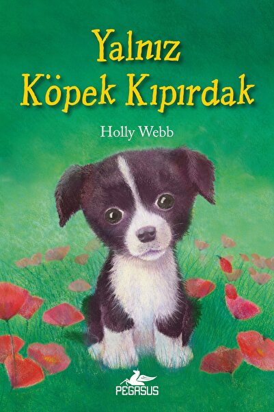 Pegasus Yayınları Yalnız Köpek Kıpırdak - Holly Webb