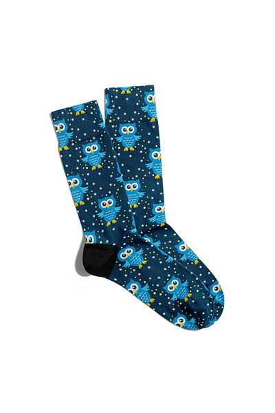 Eğlenceli Çoraplar Fun Socks Unisex Blue Owl Printed Socks Ecsoket102