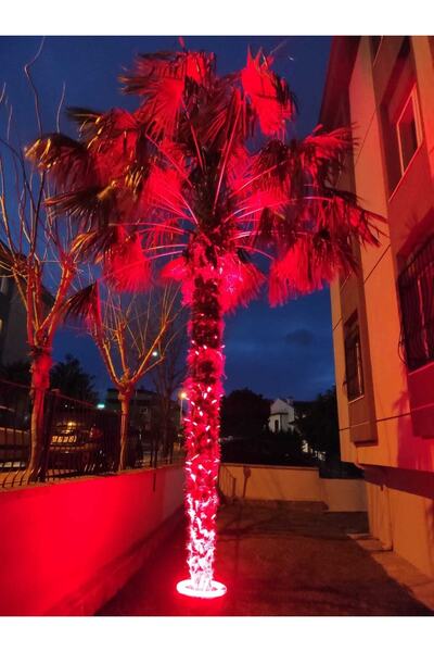 Genel Markalar Palmiye Ağaç Aydınlatma  Çember Dairesel Led Yuvarlak Aydınlat...