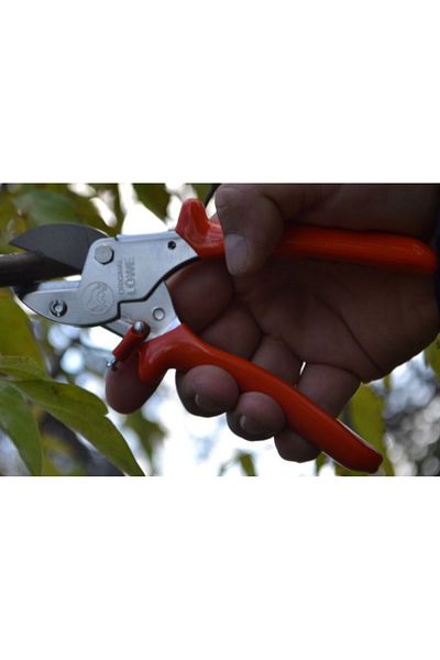 löwe 5.104 Anvil Pruning Shears Özlem Bahçe