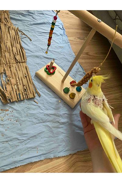 SAKAPET Wooden Parrot Perch with Extra Double Intelligence Game - T Perch