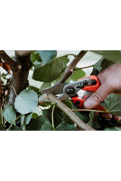 löwe 12.104 Bypass Pruning Shears Craved Garden