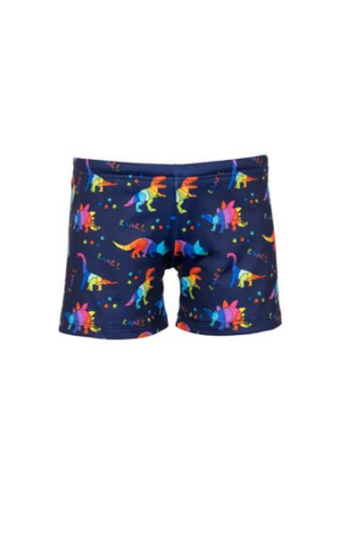 Kom Dinosaur Boy's Shorts Swimsuit