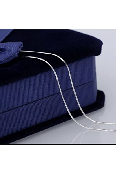 Lunays Paslanmaz Çelik Boru Yılan Sırtı Kolye 3mm Ml Unisex 60 Sm Uzatma