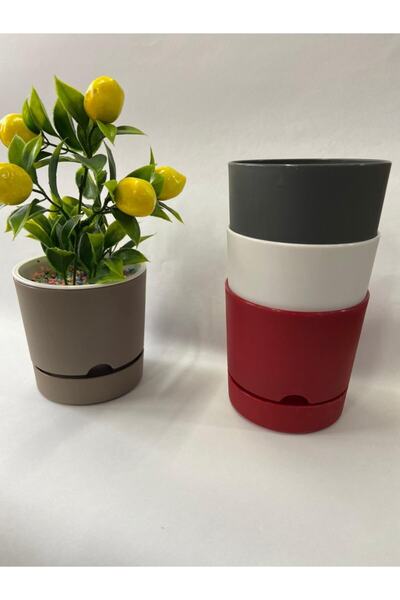 Poliwork Begonya Saksı 9 Cm Sütlü Kahve 0,5 Lt