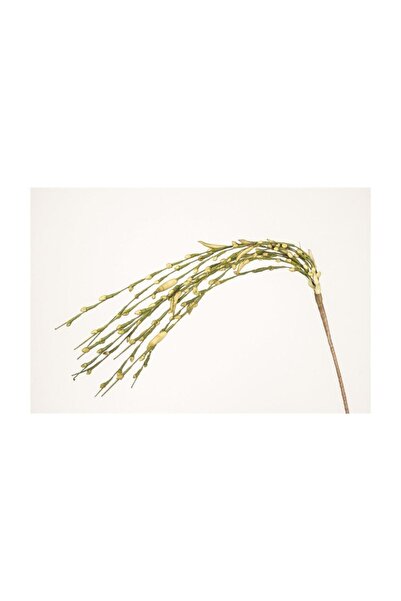 Mikasa Moor Yeşil Sarkan Dal