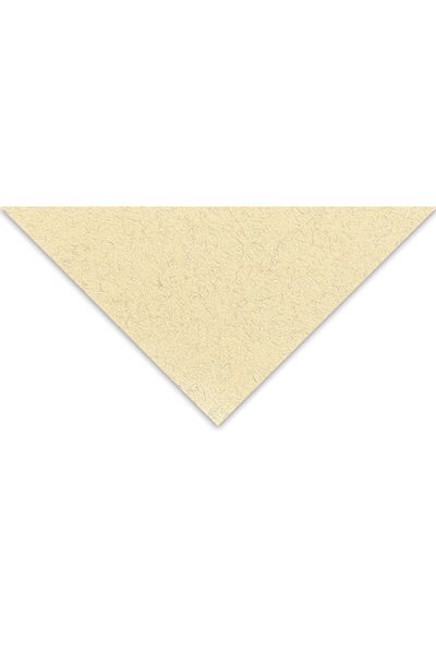 Fabriano Tiziano Multi-Purpose Paper 160 Gr50x65 Cm 10 Pack Eggs - Zabaıone