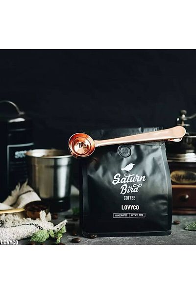 LOVYCO Gold Color Stainless Steel Coffee Measuring Spoon and Package Clip