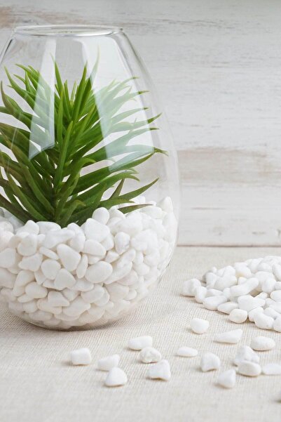 Alyones 1 kg Dolomit 1 2 cm Akvaryum Taşı