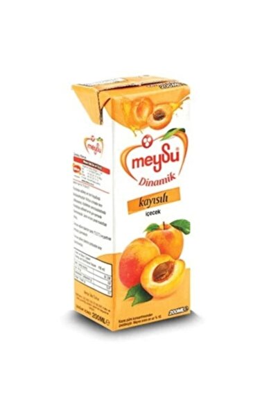 Meysu Dinamik Meyve Suyu Kayısı 200 Ml X 54 Adet (2 Koli)
