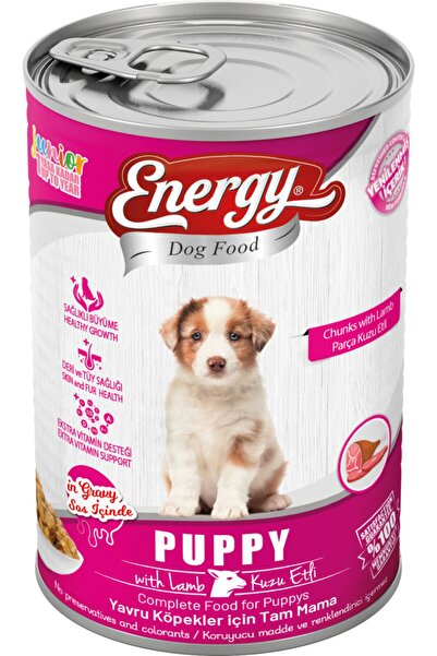 Dog Food Kuzu Etli Yavru Islak Köpek Maması – 400 G