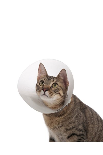 Farmena Kedi Ve Köpek Için Ekonomik Yakalık 75 Mm