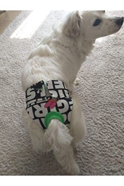 Trendypati Kopek Regl Kulodu Fiyati Yorumlari Trendyol