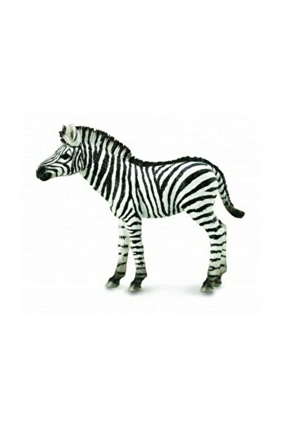 Collecta Zebra Yavru