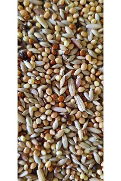 katzoo Lüks Karışık Muhabbet Kuşu Yemi 1 Kg