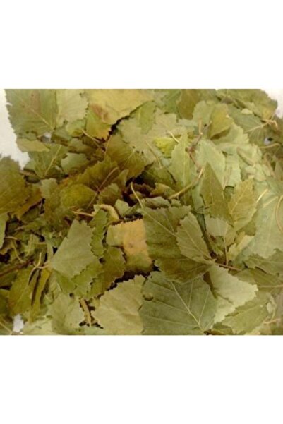 Aktarzane Huş Ağacı Yaprağı 250gr