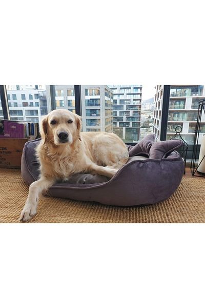 Patili Evler Dog Bed with Bone Cushion 70x90 Cm Large Wipeable No Lint Collect Scratch Resistant