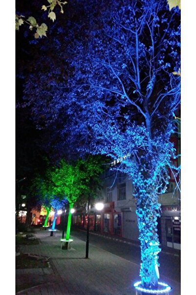 DOGRUP Palmiye Ağaç Aydınlatma Işık Boyama Led 50 Cm