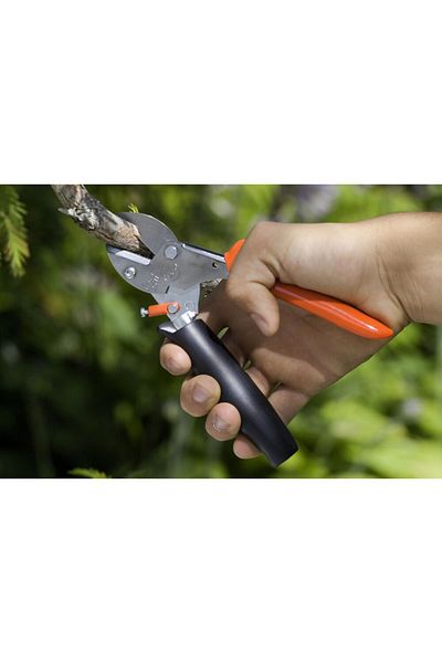 löwe 5.109 Anvil Pruning Shears Özlem Bahçe