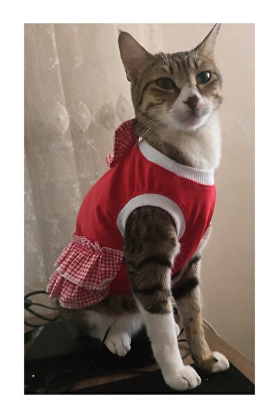 Gobo Kırmızı Beyaz Papyonlu Dişi Kedi Köpek Kıyafeti Elbisesi Large/l/beden 3