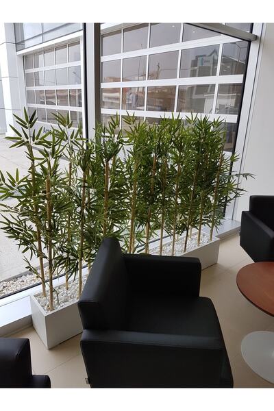 NS BAMBU DESIGN Bamabu Paravan Seperatör