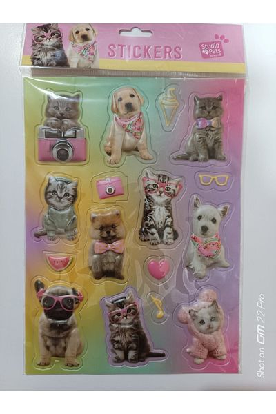 Cem Embossed Stickers A4 Size (2 Pieces)