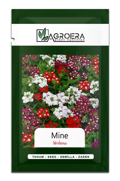 AGROERA Mine (verbena) Çiçek Tohumu 50 Adet