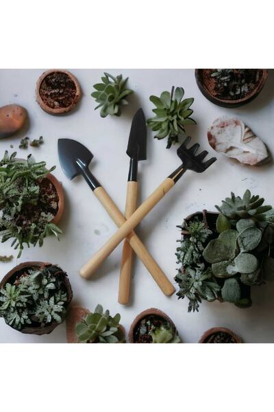 DAPHNE CONCEPT Hobi Saksı Çiçek Mini Kürek Tırmık Seti