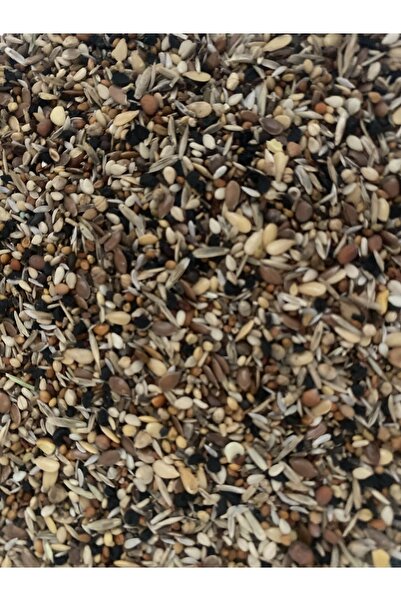 Versele Laga Kondisyon Sağlık Tohumu 250 gr