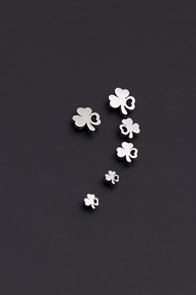 Sortie Aksesuar 4 Yapraklı Yonca Figürlü Paslanmaz Çelik Küpe Seti 001