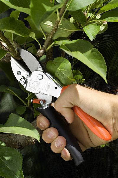 löwe 1.109 Anvil Pruning Shears Özlem Bahçe