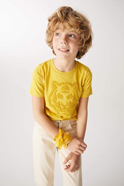 DeFacto Z3064A6 Boy's T-Shirt