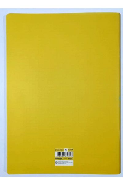 Mynote Caiet Looney Tunes cu dungi (2 buc)