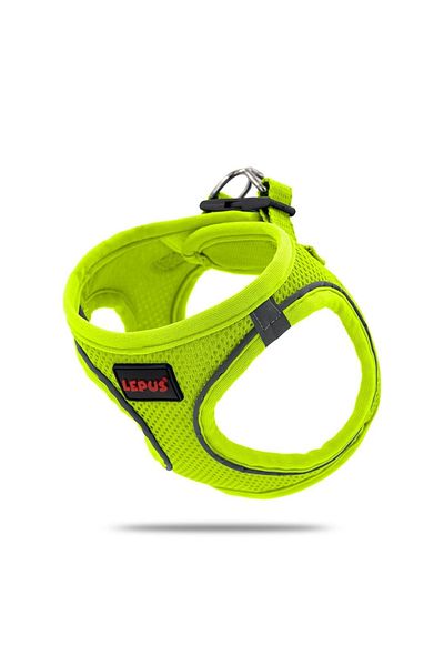 Lepus Cat And Dog Chest Vest Collar Yellow (xs)