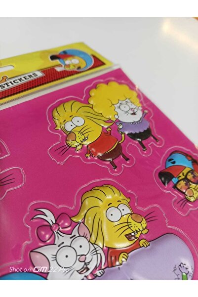 Cem 2Pcs A4 Size Embossed Stickers