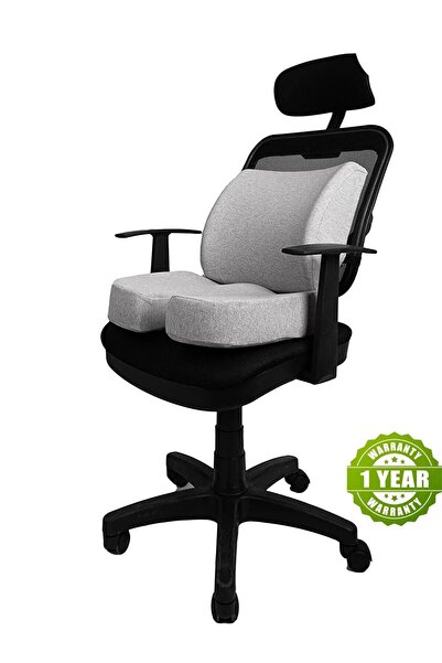 Viscomina طقم لتقويم العظام مكون من قطعتين - وسادة للجلوس والخصر فيسكو