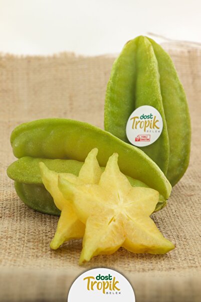 Dost Tropik Belek | Yıldız Meyvesi - Carambola - Star Fruit (3 Adet)