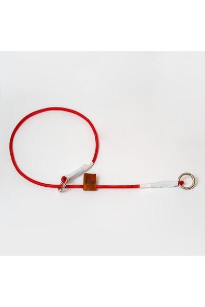 Pakuna Köpek Eğitim Tasması Renkli Köpek Tasması 55cm