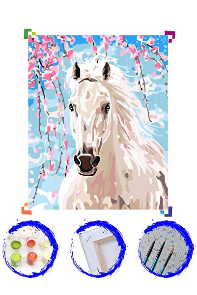 PlusHobby Beyaz At Sayılarla Boyama Seti 60x75cm Tuval