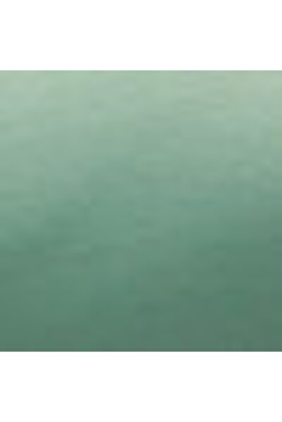 LC Waikiki Yarım Dolgulu Düz Raşel Kumaş Bikini Üst