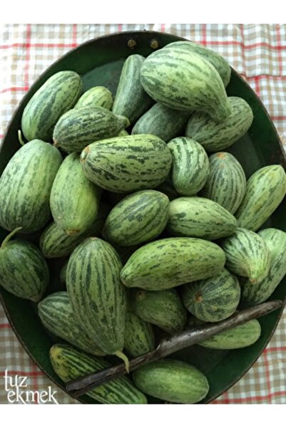 ÇERMİK FİDANCILIK Turşuluk Hıyar Acur Tohumu 10 Gr